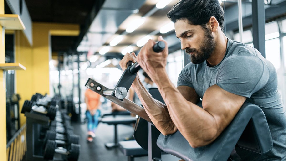 Ejercicios para entrenar bíceps – ¿Cómo tener brazos fuertes con volumen?
